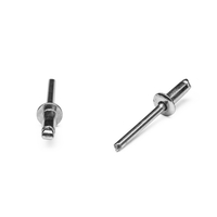 Popnit fzb 3,2x12mm kullrig öp. 250p ANS
